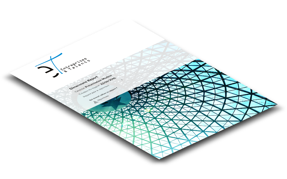 Talent Q Dimensions Talent Q Dimensions