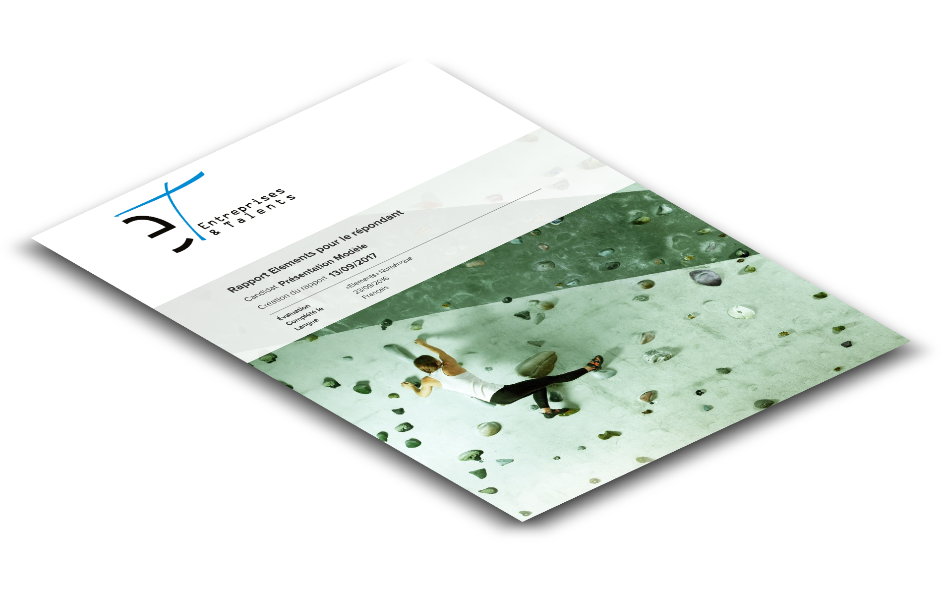 Talent Q Elements Talent Q Elements